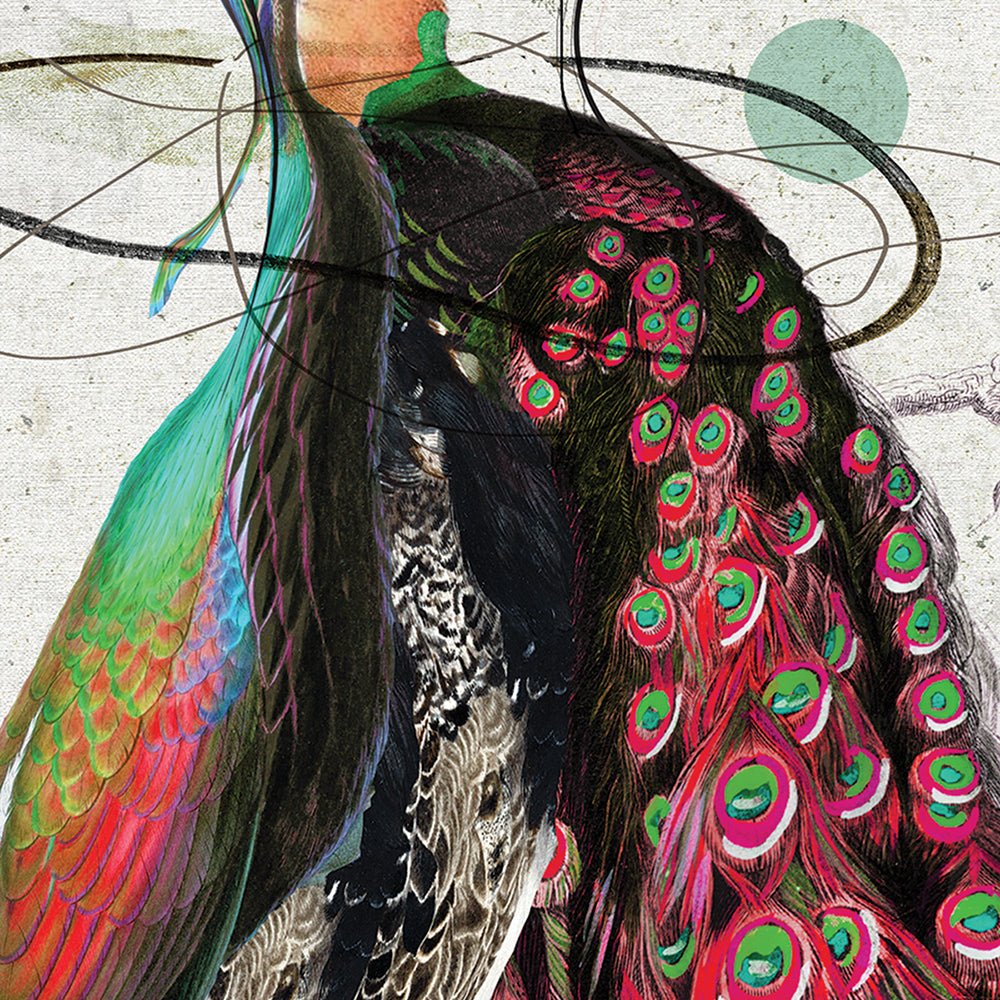 Girl in the Feather Dress